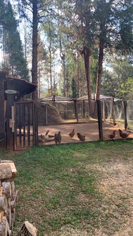 Chale De Luxo Pertinho De Monte Verde Monte Verde  Kültér fotó